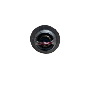 termostato motor kubota d902
